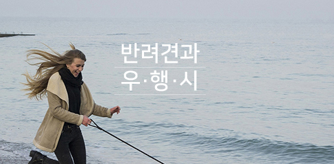 반려견과 우.행.시